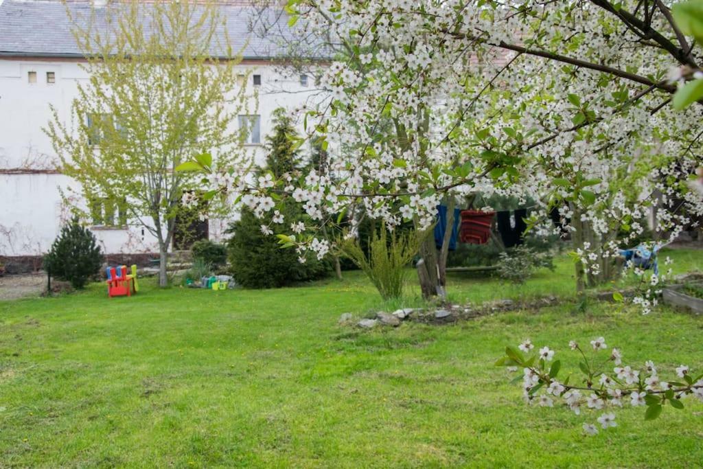 Gospodarstwo U Krakusa Doboszowice Экстерьер фото