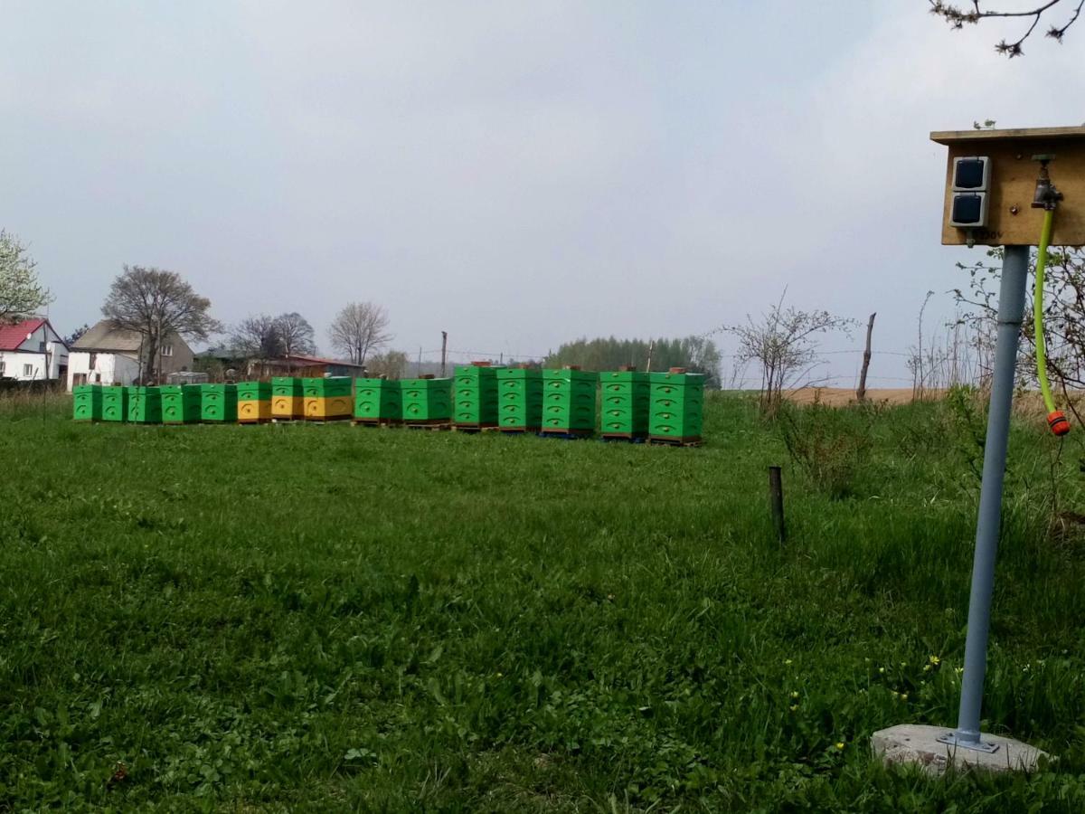Gospodarstwo U Krakusa Doboszowice Экстерьер фото